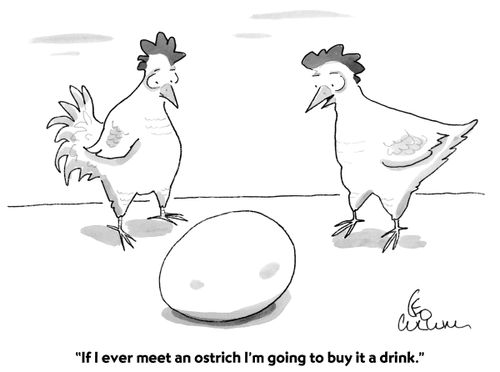 "If I ever meet an ostrich I'm going to buy it a drink."