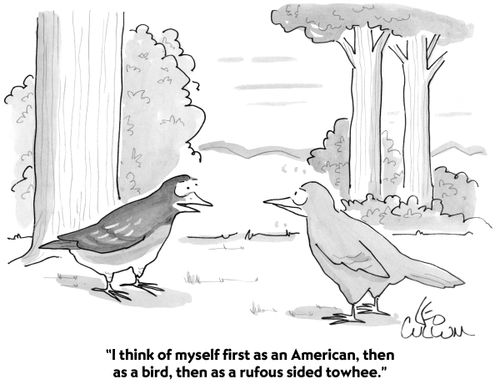 "I think of myself first as an American, then as a bird, then as a rufous sided towhee."