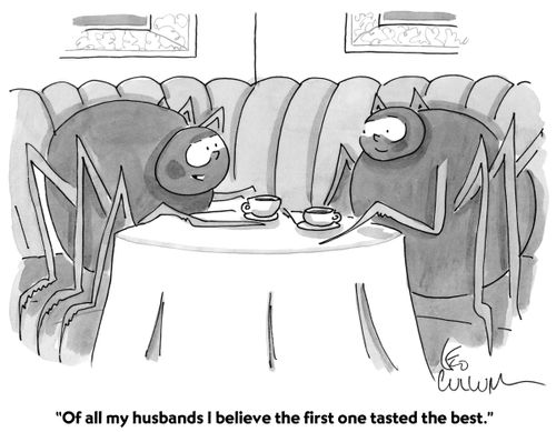 "Of all my husbands I believe the first one tasted the best."