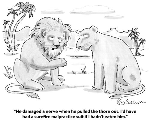 "He damaged a nerve when he pulled the thorn out. I'd have had a surefire malpractice suit if I hadn't eaten him."
