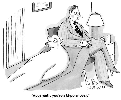 "Apparently you're a bi-polar bear."