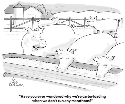 "Have you ever wondered why we're carbo-loading when we don't run marathons?"