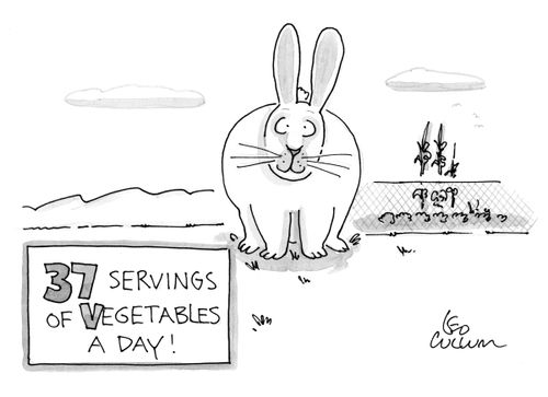 37 Servings of Vegetables a Day!
