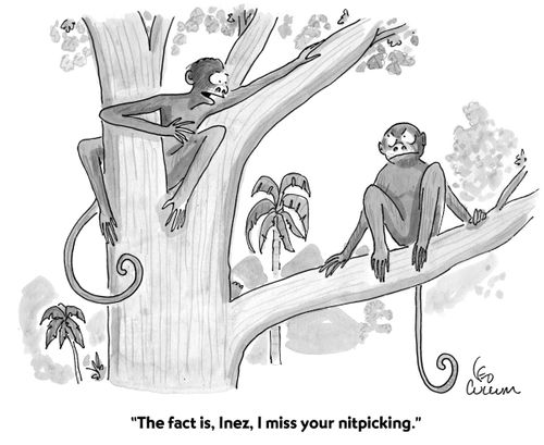 "The fact is, I miss your nitpicking."