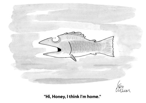 "Hi, Honey, I think I'm home."