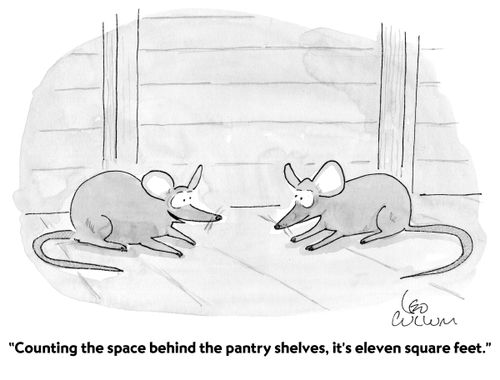 "Counting the space behind the pantry shelves, it's eleven square feet."