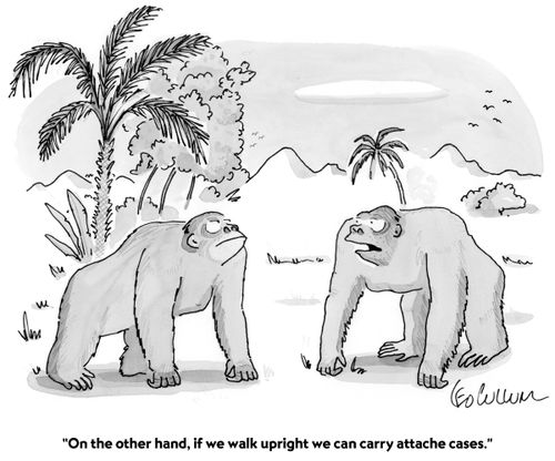 "On the other hand, if we walk upright we can carry attache cases."