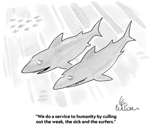 "We do a service to humanity by culling out the weak, the sick and the surfers."