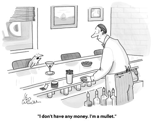 "I don't have any money. I'm a mullet."