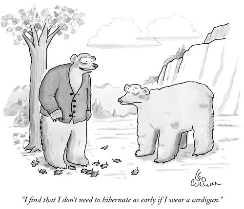 "I find that I don't need to hibernate as early if I wear a cardigan."