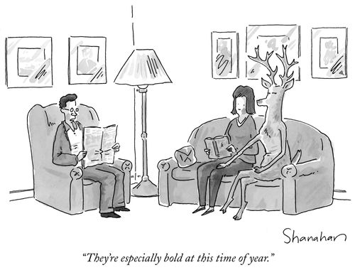 "They're especially bold at this time of year."