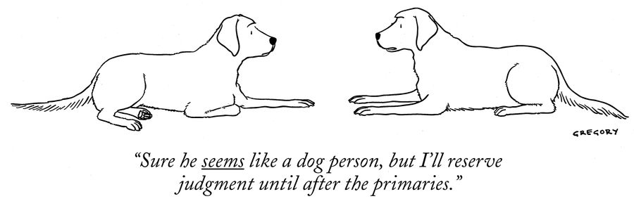 "He seems like a dog person, but I'll reserve judgment until after the primaries."