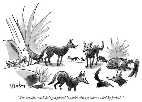 "The trouble with being a jackal is you're always surrounded by jackals."