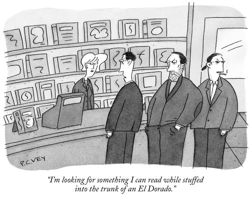 "I'm looking for something I can read while stuffed into the trunk of an El Dorado."