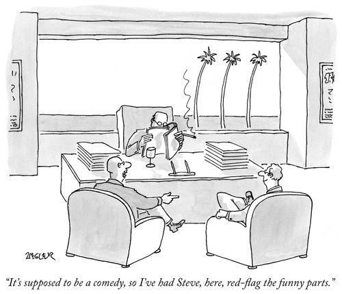 "It's supposed to be a comedy, so I've had Steve, here, red-flag the funny parts."