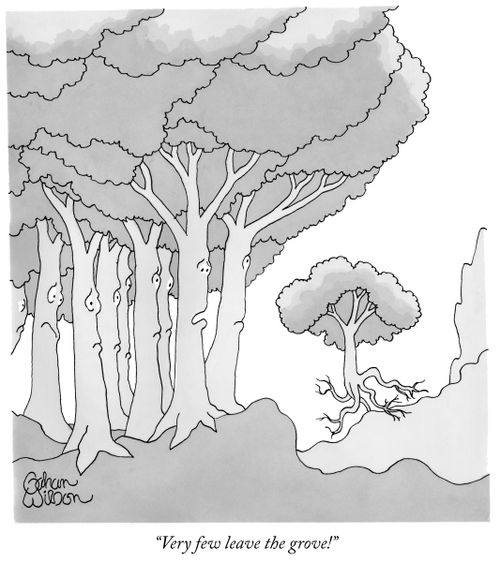 "Very few leave the grove!"
