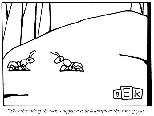 "The other side of the rock is supposed to be beautiful at this time of year."