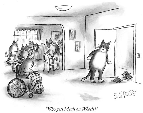 "Who gets Meals on Wheels?"
