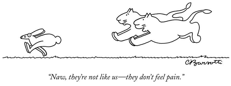 "Naw, they're not like us – they don't feel pain."