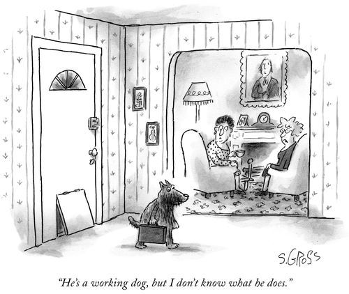 "He's a working dog, but I don't know what he does."