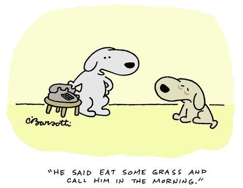 "He said eat some grass and call him in the morning."