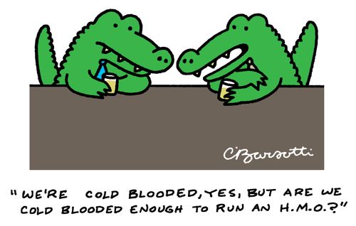 "Are we cold blooded enough to run an H.M.O?"