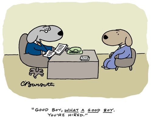 "Good boy, what a good boy. You're hired."