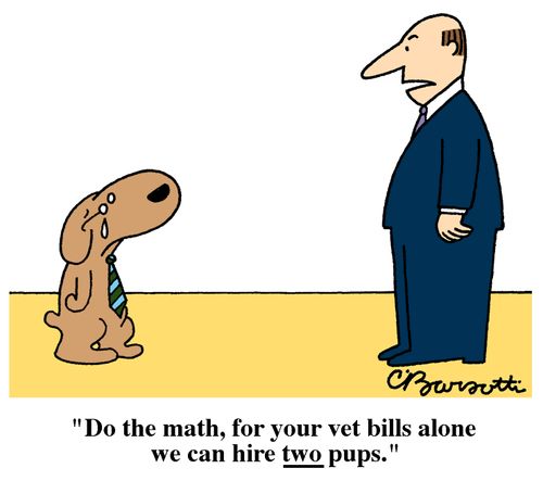 "For your vet bills alone we can hire two pups."