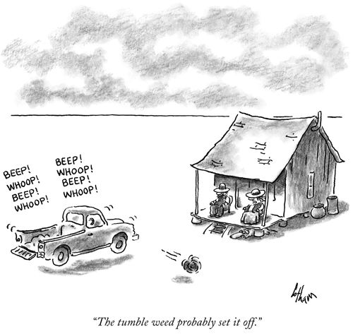 "The tumble weed probably set it off."