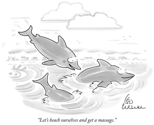 "Let's beach ourselves and get a massage."