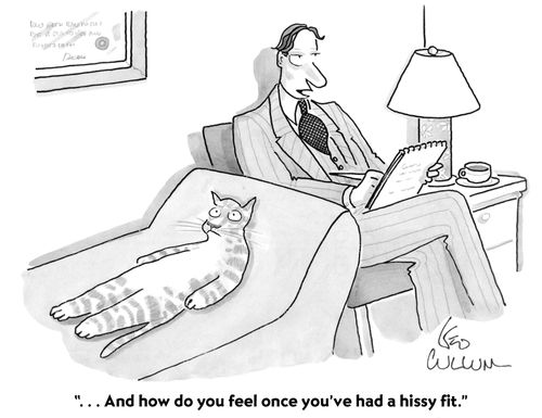 "...And how do you feel once you've had a hissy fit."