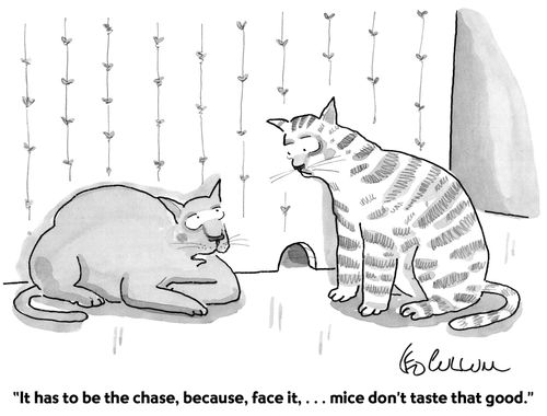"It has to be the chase, because, face it, ... mice don't taste that good."