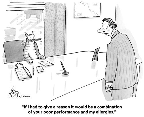 "It's a combination of your poor performance and my allergies."