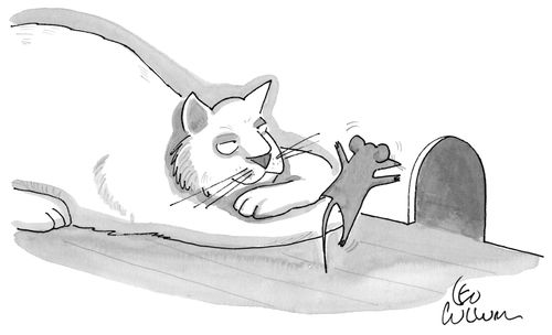 Cat and Mouse