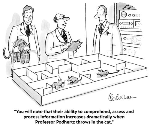 "You will note that their ability to comprehend, assess and process information increases dramatically when Professor Podhertz throws in the cat."