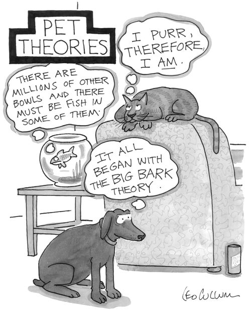 PET THEORIES