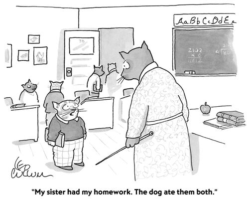 "My sister had my homework. The dog ate them both."