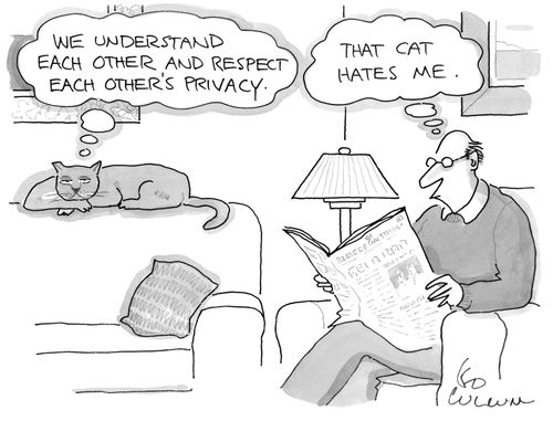 "We understand each other and respect each other's privacy." "That cat hates me."