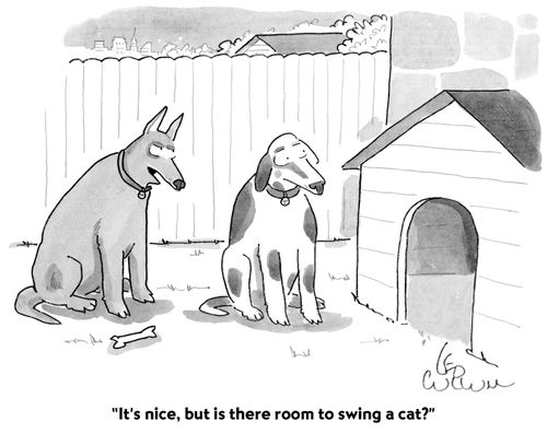 "It's nice, but is there room to swing a cat?"