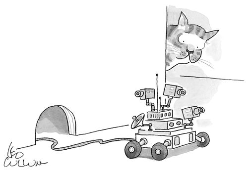 Mouse Rover