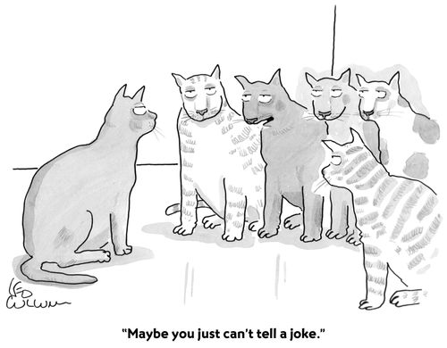 "Maybe you just can't tell a joke."