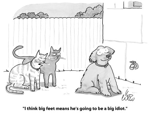 "I think big feet means he's going to be a big idiot."