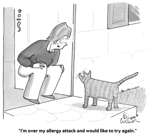 "I'm over my allergy attack and would like to try again."