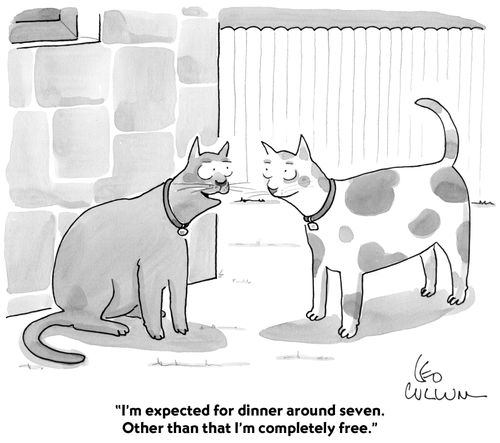 "I'm expected for dinner around seven. Other than that I'm completely free."