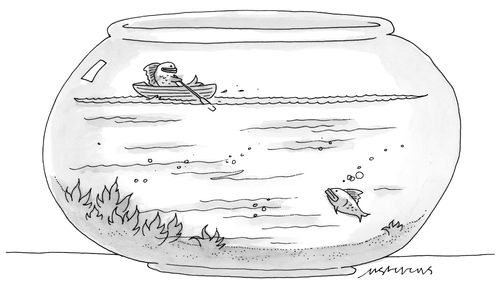 Goldfish in a Rowing Boat
