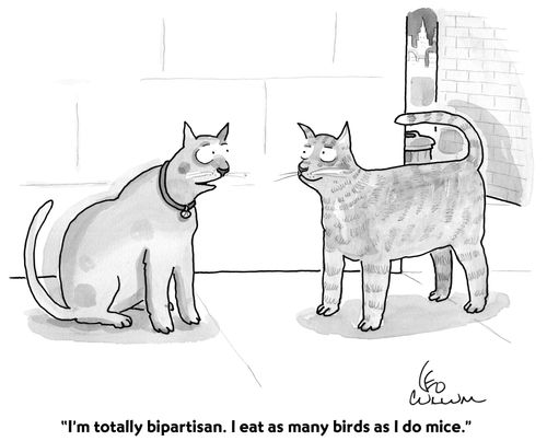 "I'm totally bipartisan. I eat as many birds as I do mice."