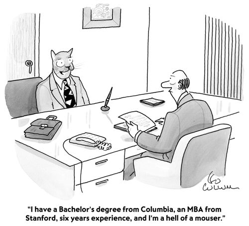 "I have a Bachelor's degree from Columbia, an MBA from Stanford, six years experience, and I'm a hell of a mouser."