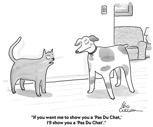 "If you want me to show you a 'Pas Du Chat,' I'll show you a 'Pas Du Chat'."
