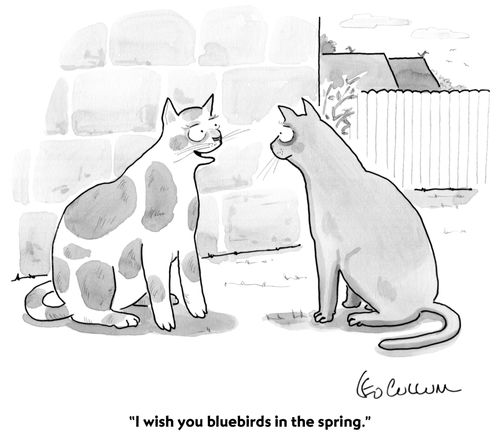 "I wish you bluebirds in the spring."