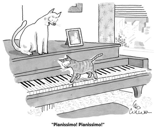 "Pianissimo! Pianissimo!"
